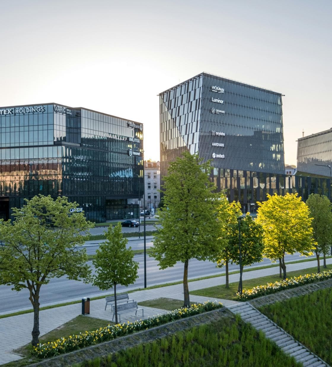 Modern glass commercial office buildings at dusk, seen from a tree-lined boulevard